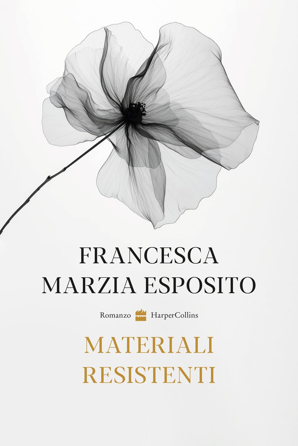 Materiali Resistenti - 4