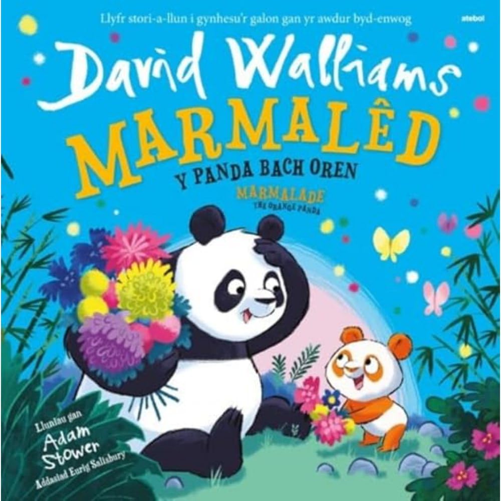 Marmalêd - Y Panda Bach Oren / Marmalade - The Orange Panda