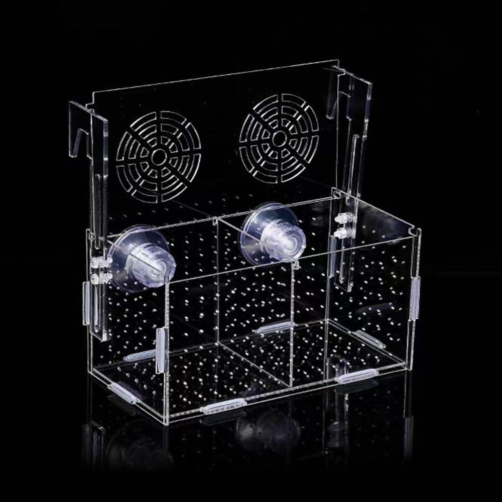 JOBEDE Acrylic Fish breeding Box - breeding tanks | Mubboo
