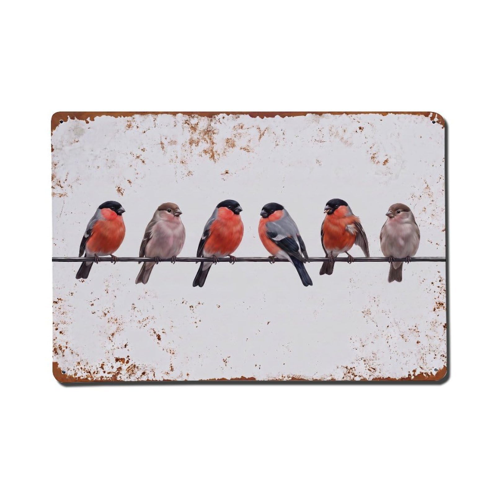 Vintage Retro Birds Bullfinch Metal Tin Sign