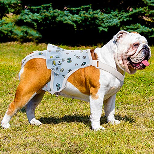 Image of QBLEEV Female Dog Diapers with Adjustable Suspenders, Escape Proof Diapers | Washable Sanitary Panties for Dogs in Heat or Incontinence, Reusable Period Underwear Onesie, Tail Hole & Stay on, Blue, S