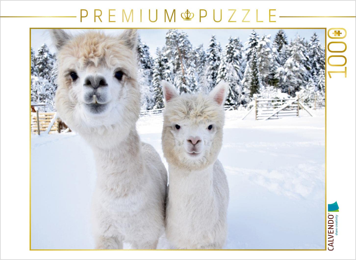 CALVENDO Puzzle Bourrasque de Neige des alpagas 1000 Pieces 64 x 48 cm from Heidi Rentschler