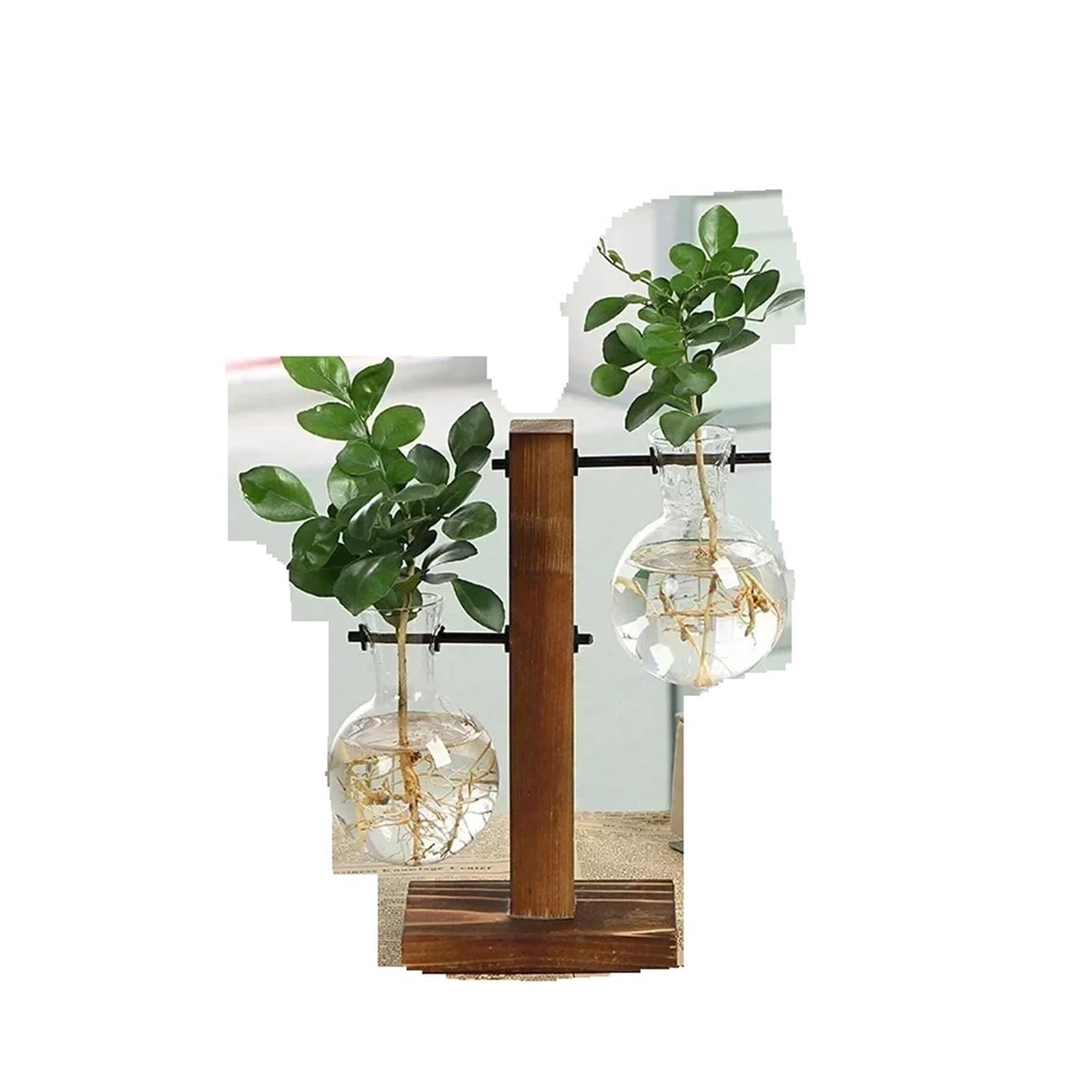Vase Terrarium Hydroponic Plant Vases Vintage Flower Pot Transparent Vase Wooden Frame Glass Tabletop Plants Home Bonsai Decor(Double Bottle)