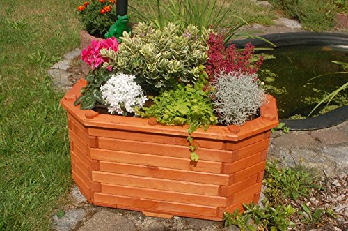 Deko-Shop-Hannusch Pflanzkasten, Blumenkasten, Blumenkübel aus massivem Holz, für den Garten, (ohne Blumen)