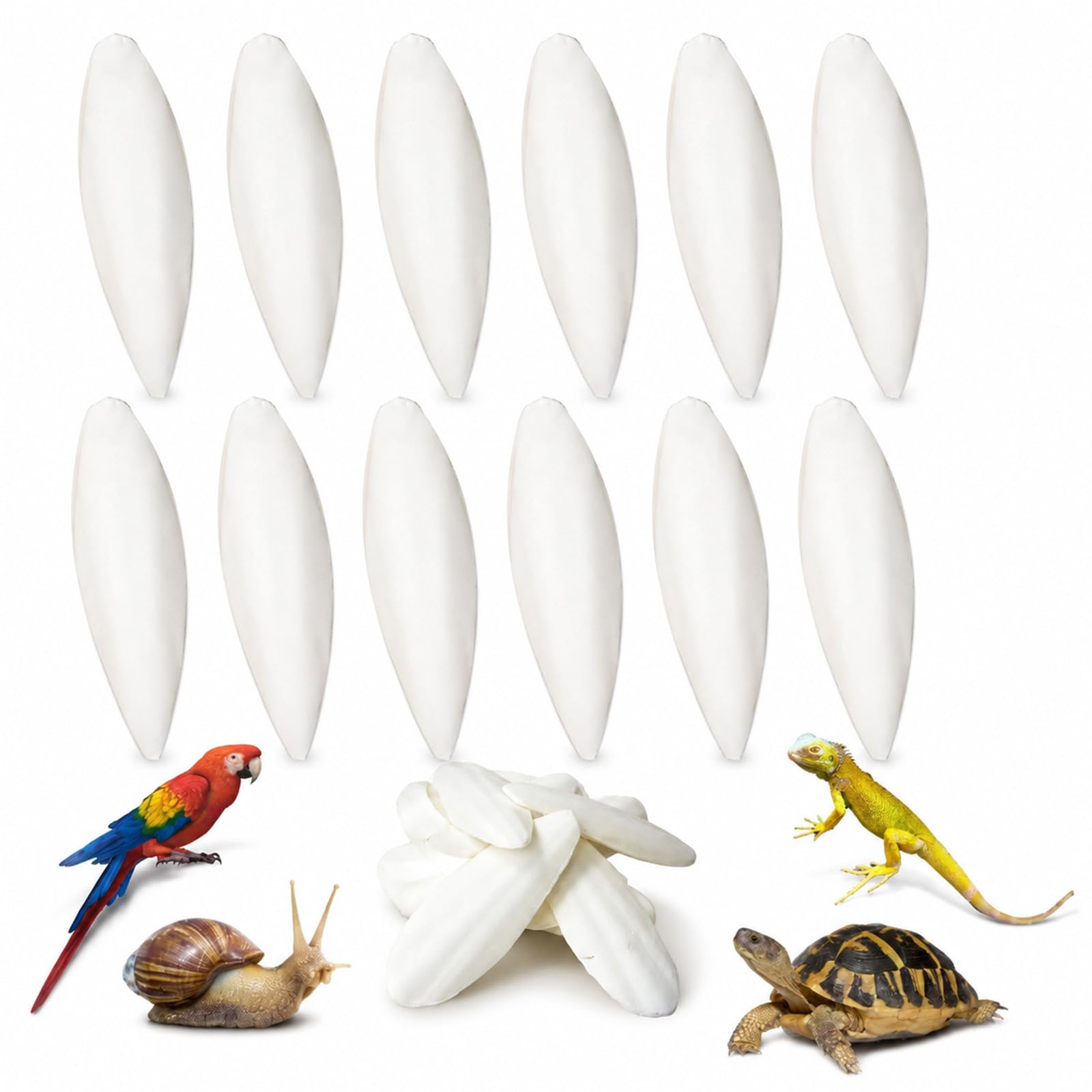 QhgPnt 12 Pcs Cuttlefish Bone, Natural Cuttlebone Chew Toys 9-12CM / 3.5-4.7 Inch, Natural Calcium Supplement for Birds Parrots Reptiles, for Tortoise Snails Pet