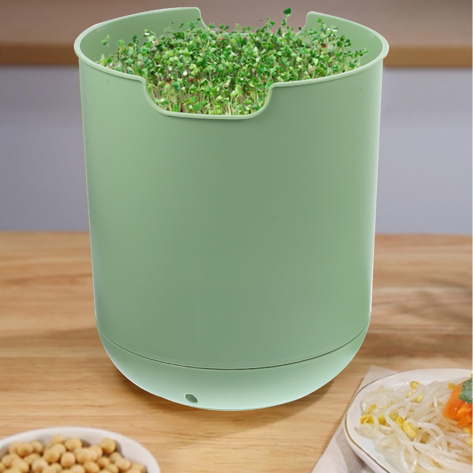 INOOMP Keimset für Bohnensprossen mit Pp Material und Praktischem Design Großer Bohnensprossentopf für Effiziente Sprossenanzucht und Pflanzung im Garten