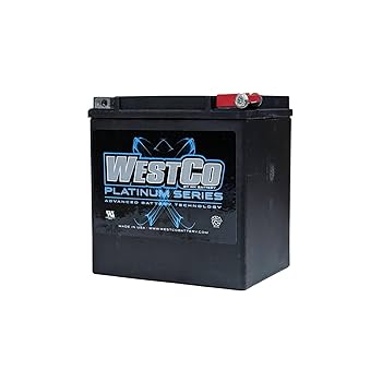 あーこ AF34・AF35 ライブDio・ZX FNあんこ抜きシート HONDAロゴ塗装