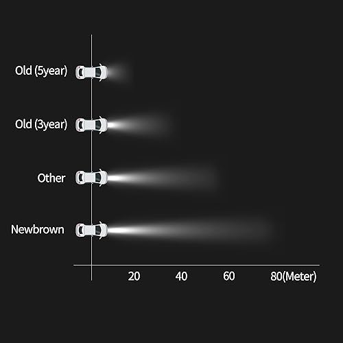 Miniatura 6 de Bombilla halógena para faros delanteros con luz súper blanca P20D 12 V60 W 5000 K, 2 unidades, larga vida útil
