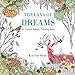 The Land of Dreams: An Animal Fantasy Coloring Book