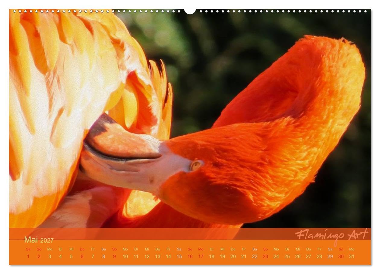 CALVENDO - Flamingo Art 2027 (Wandkalender 2027 DIN A2 quer), Monatskalender: Flamingo Art - Ein absoluter Blickfang im Büro und zu Hause