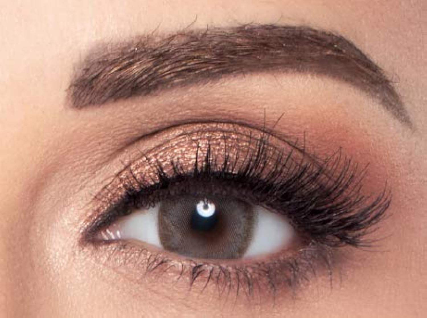 Amara Dark Sepia contact lenses دارك سيبيا امارا عدسات لاصقه