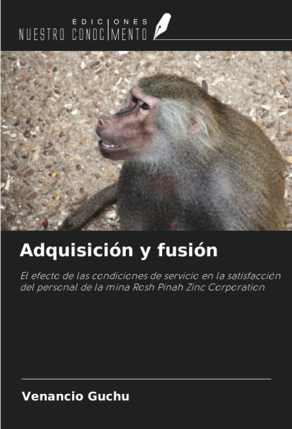 Adquisición y fusión: El efecto de las condiciones de servicio en la satisfacción del personal de la mina Rosh Pinah Zinc Corporation (Spanish Edition)