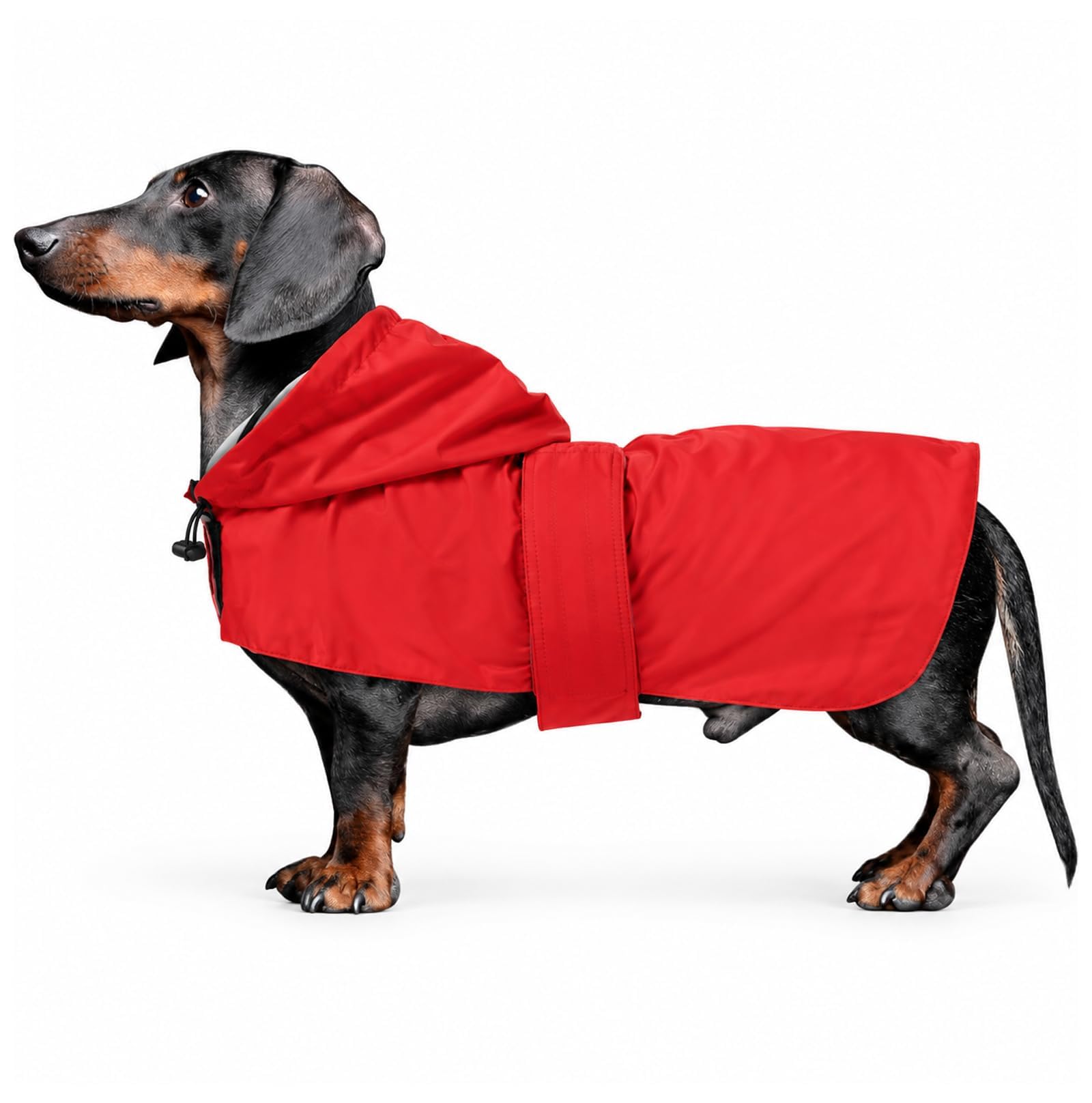 Morezi Dachshund coat miniature dachshund coats fit for dachshunds sausage dog rain coat with hoodie hook and loop closure great coverage Red M