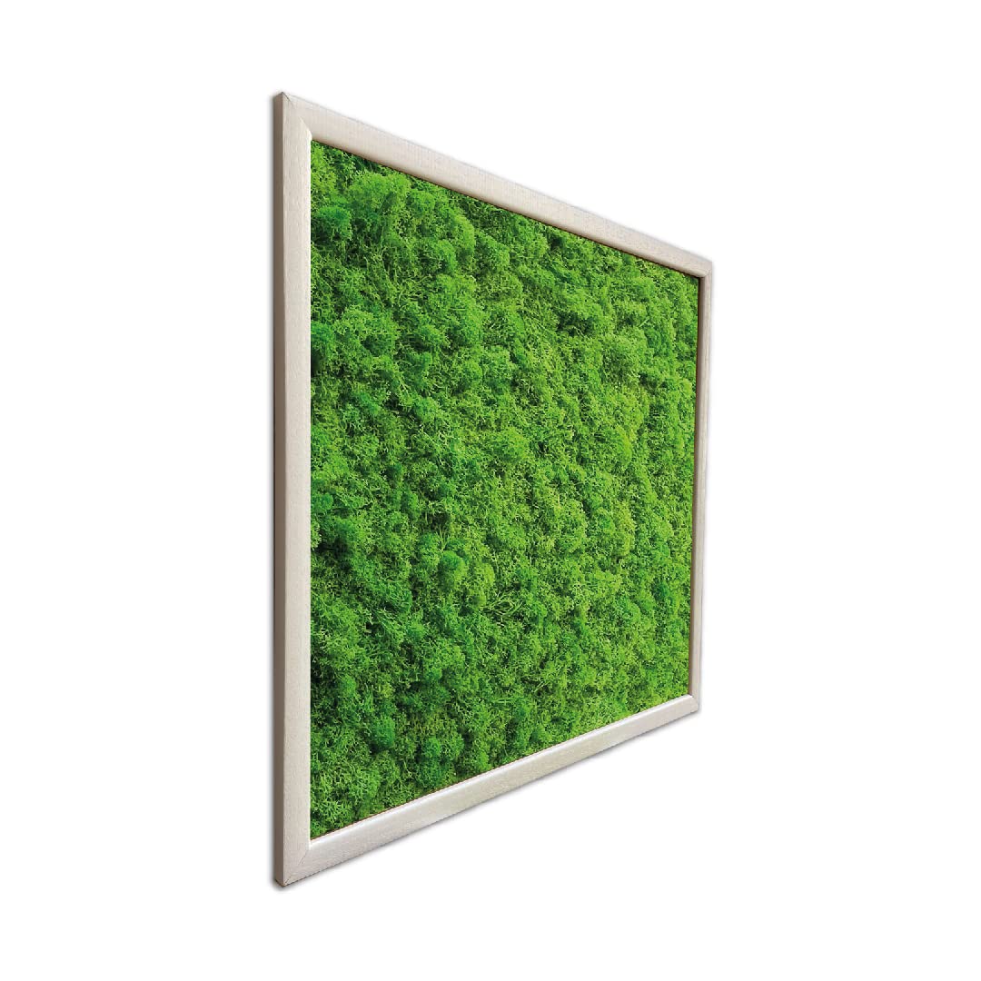 Quadro in Muschio Stabilizzato (70x70cm, Verde Prato) cm, Lichene Premium - Cornice in Legno Rinforzato, Ecologico e Senza Manutenzione - Durata Oltre 10 Anni, Decorazione Naturale per Casa e Ufficio