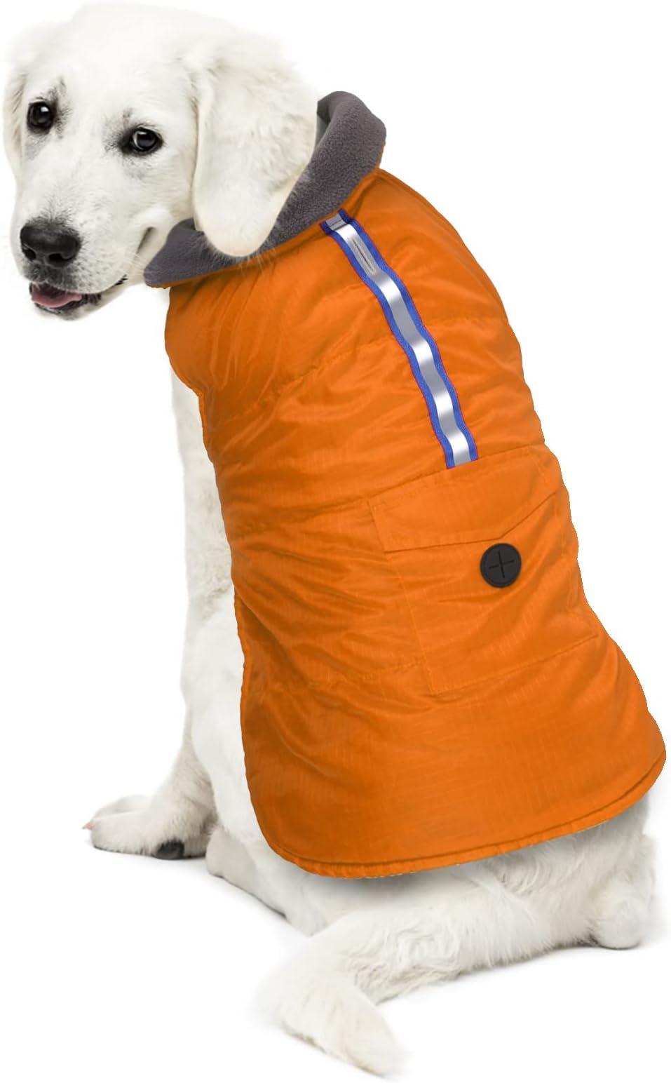 inexpensive dog clothes