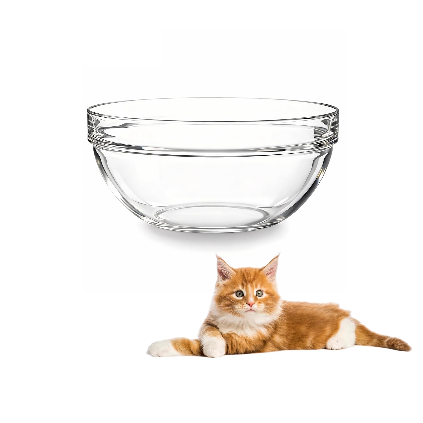 Replacement Glass Bowl for Feoyoho 3.75in Feeder Stand – Small, 13.7 oz / 1.7 Cups, Dishwasher & Microwave Safe