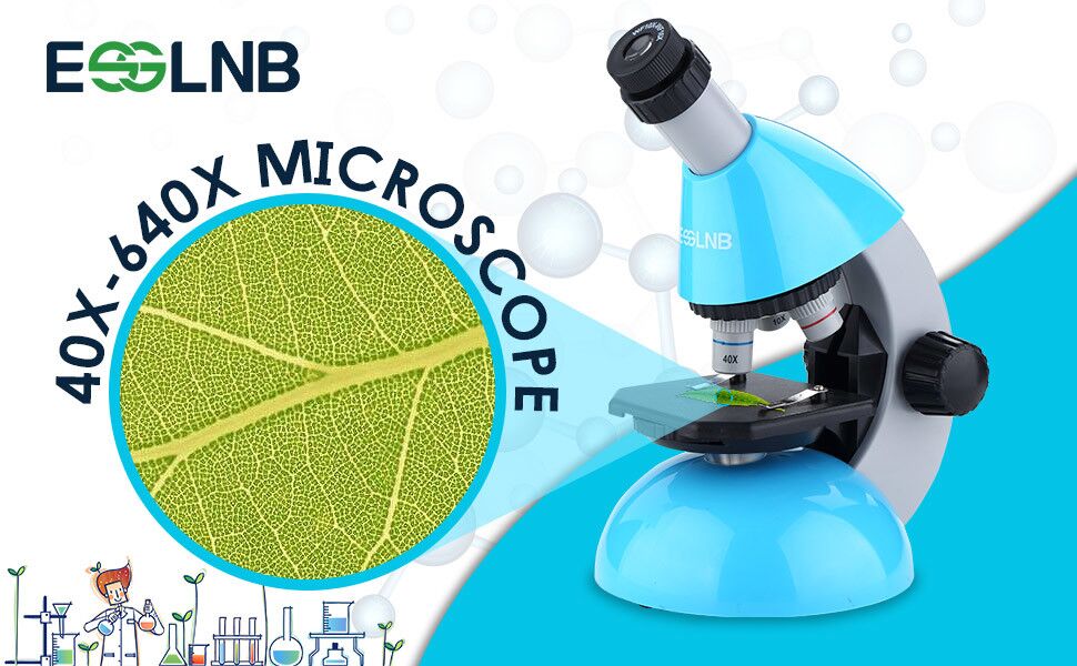 6 ESSLNB+Microscope+Students+Slides