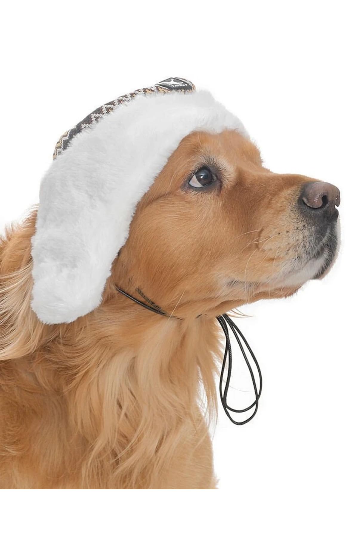 Sedna XL köpek şapkası; küçük, orta ve büyük ırklar için