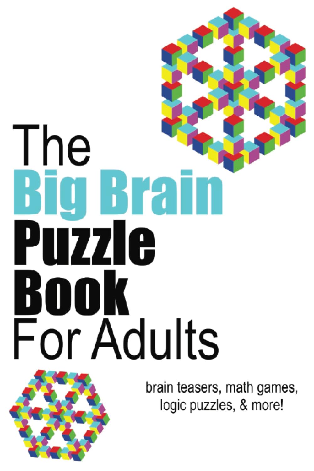 The Big Brain Puzzle Book for Adults: brain teasers, math games, logic puzzles, & more!
