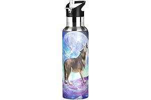 Insulated Thermos Water Bottle Galaxy Wolf with Straw Lid for Kids