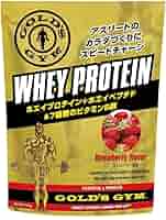 GOLD&#39;S GYM - ゴールドジム ホエイペプチド アミノコンプレックス 500g ２個 ホエイペプチドアミノコンプレックス（ヨーグルト風味