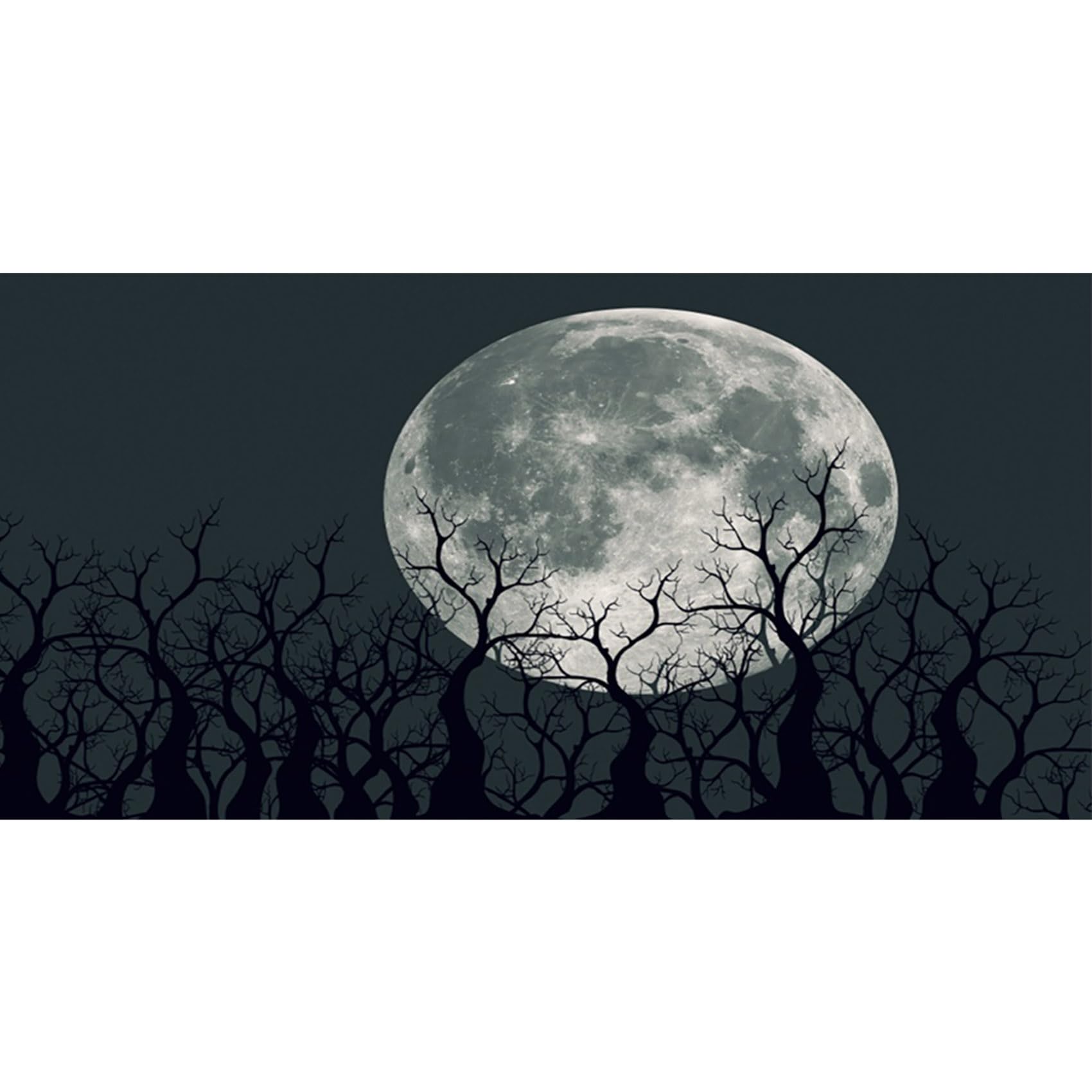 MIRRORANG 61x30cm Black Spooky Aquarium Background Full Moon Trees Branches Horror Night Vinyl Durable Fish Tank Background