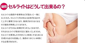美品】セルライトを撃退 セルライト」の人気商品一覧 | 安い商品を通販