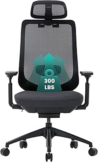 Ergonomic Mesh Office Chair,High Back Computer Executive Desk Chair,Lumbar Support with Adjustable Headrest and 4D Arms, Slide Seat, Tilt Lock-Black