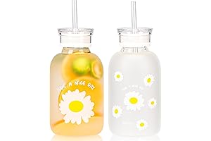 2pcs 16oz Little Daisy Frosted Glass Bottles with Straws