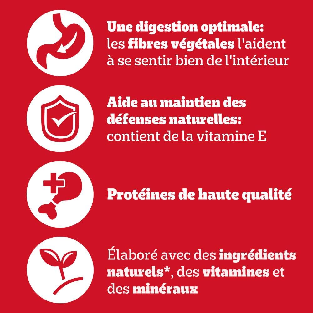 PEDIGREE Repas pour Chien - Boîtes en terrine au Boeuf et aux Carottes Adulte 6x4x400g