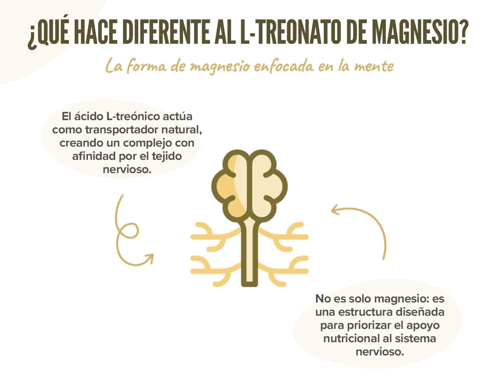 HSN Magtein® L-Treonato de Magnesio 2000mg +33% Contenido por Cápsula | 120 Cápsulas Vegetales | 40 Días Suministro Magnesio Treonato de Alta Biodisponibilidad | Vegano y Sin Gluten