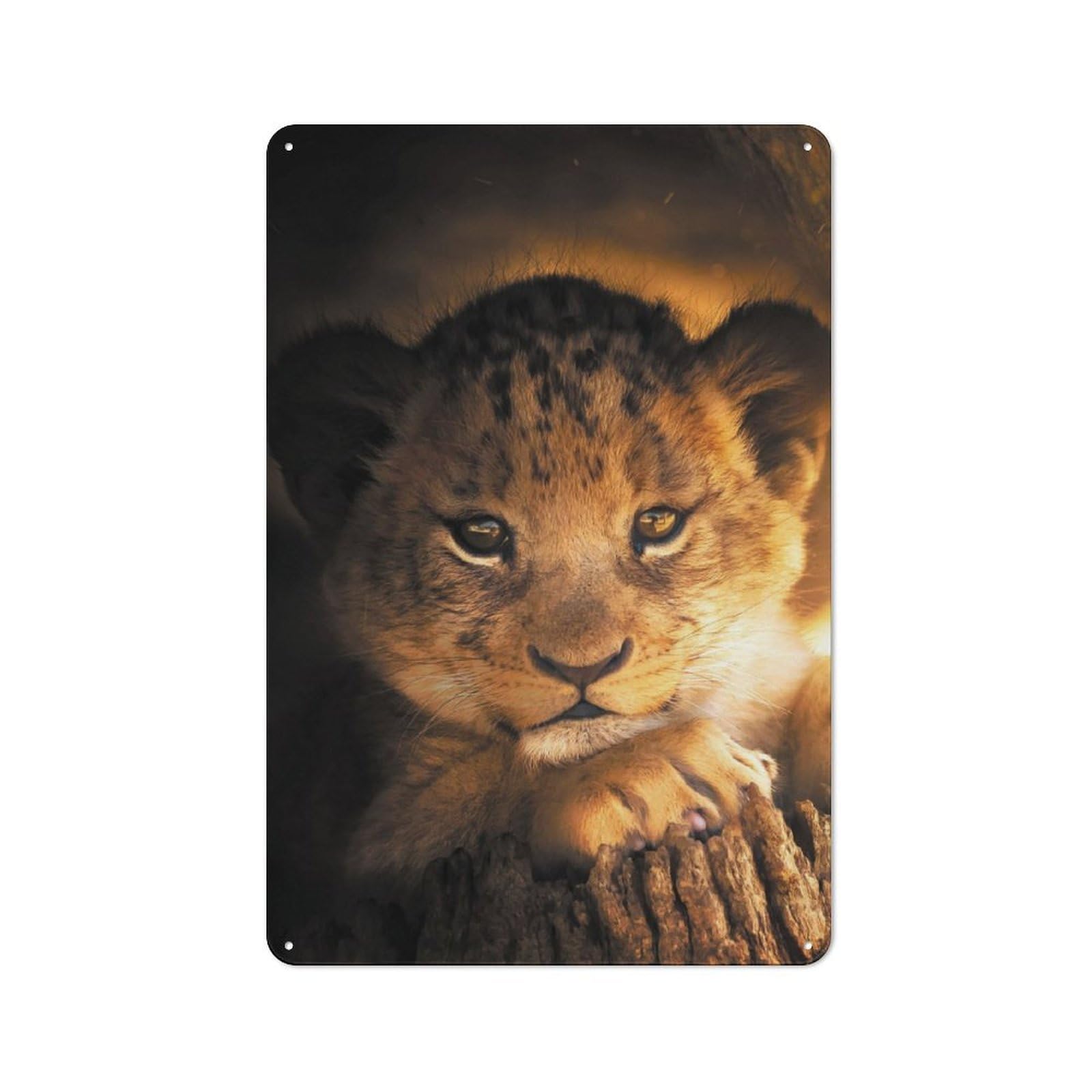 30x20cm Retro Metal Plaque with The Lion Cub for Garage Or Workshop, Housewarming Present for People Styling Garage And Workshop