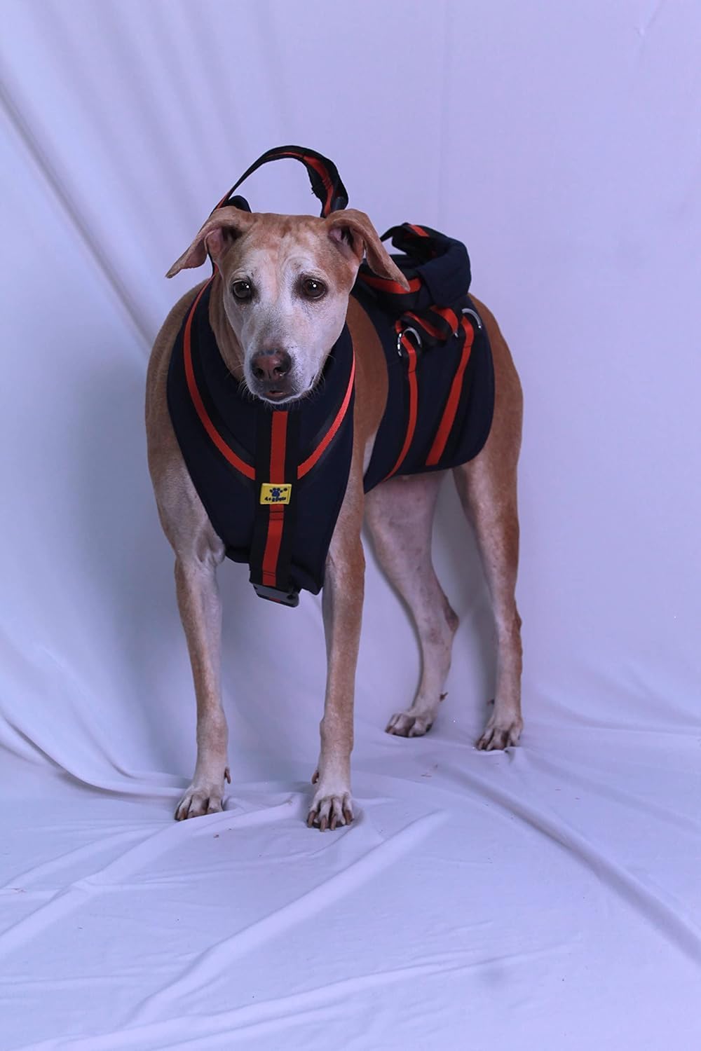 A+a PetsDog Lift Full Body Support Harness (XL-2XL) (B0BQZ1KX71) Amazon Price History, Amazon Price Tracker