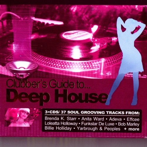 Funkstar De Luxe Vs. Mary J. Blige