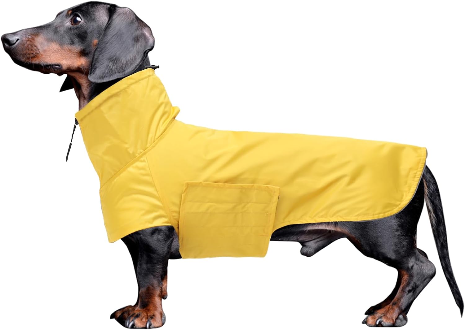 Geyecete Dachshund Raincoat,Miniature Dachshund Raincoat Waterproof Adjustable Dachshund Raincoat with High Neck with Harness Hole for Dachshund-Yellow-S