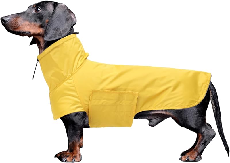 Geyecete Dachshund Raincoat,Miniature Dachshund Raincoat Waterproof Adjustable Dachshund Raincoat with High Neck with Harness Hole for Dachshund-Yellow-S