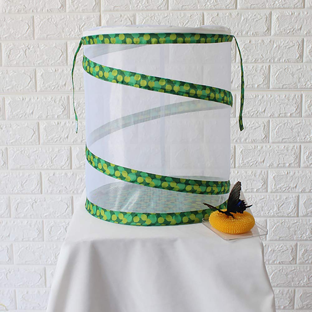 Gabbia Per Farfalle Pieghevole 31x31x31cm - Rete Traspirante Con Fondo Impermeabile - Per Bruchi E Insetti - Foto 4