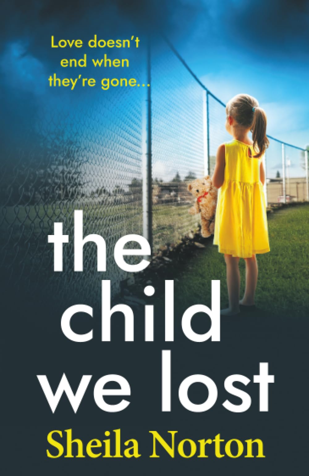 The Child We Lost: The BRAND NEW heartbreaking family drama from Sheila Norton for 2026