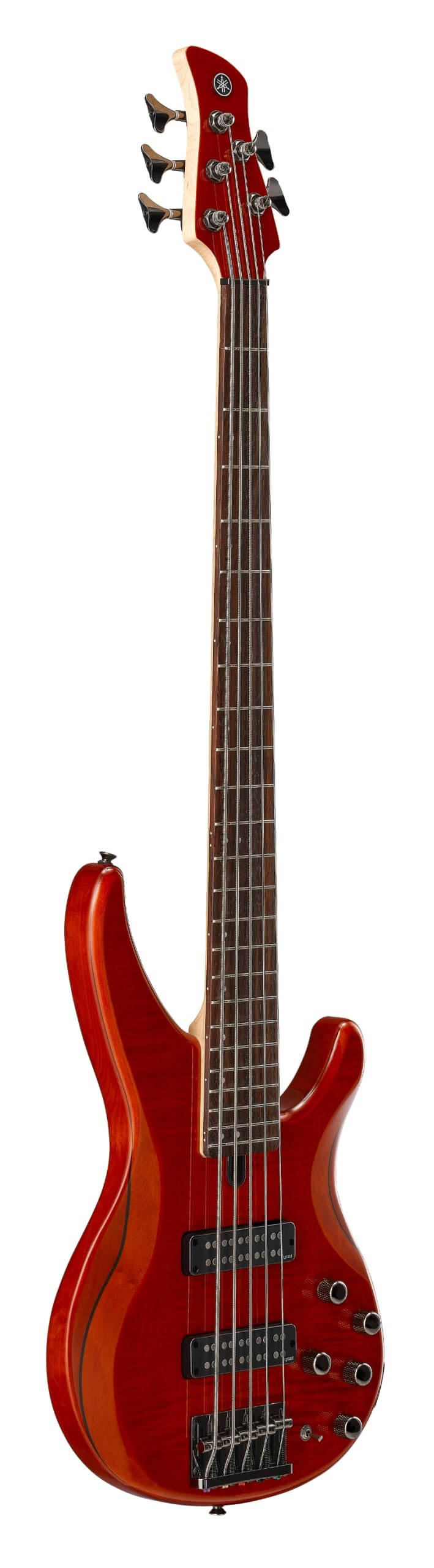 Amazon.com: Yamaha TRBX605 5-String Flamed Maple Bass Guitar