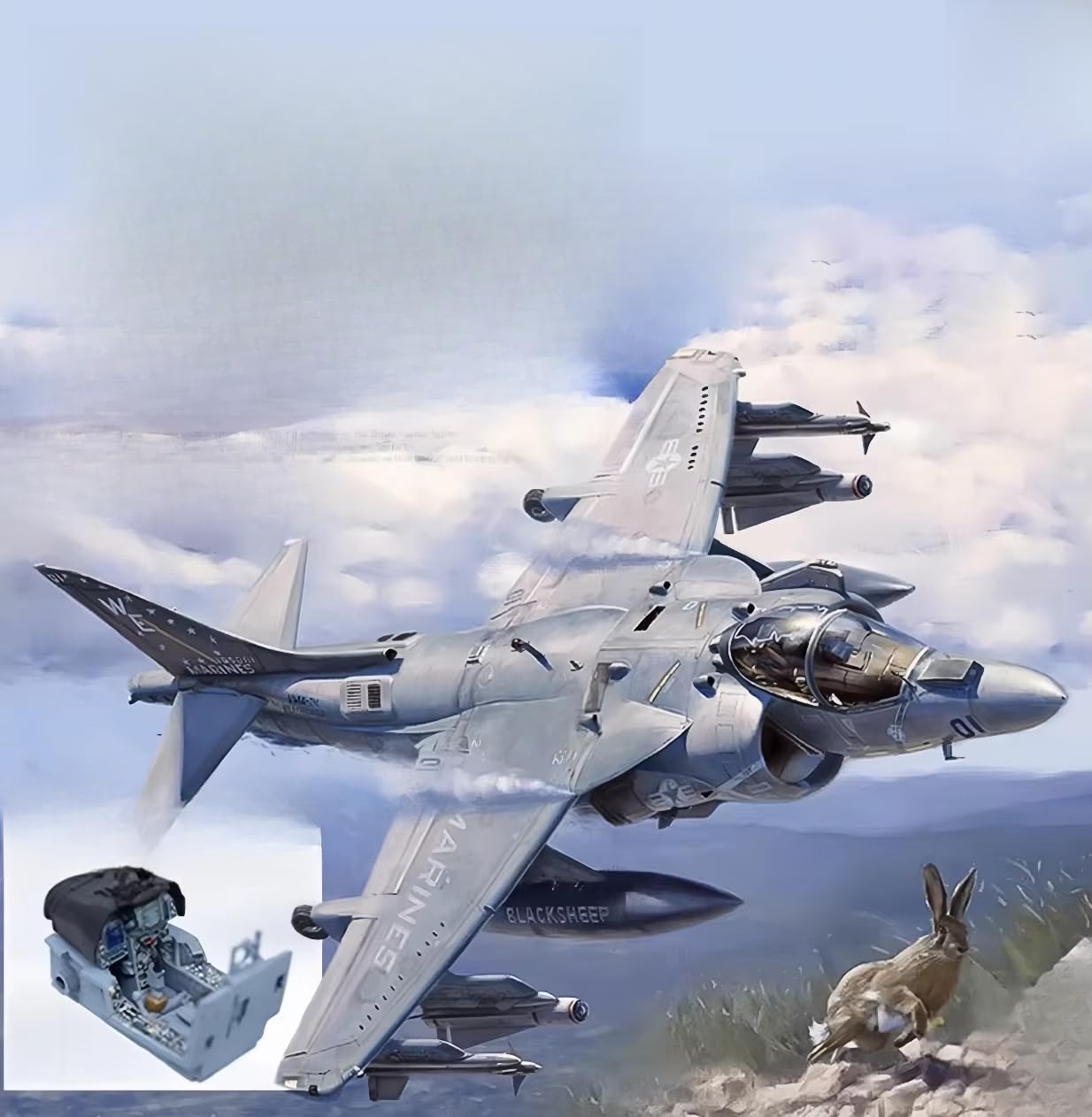 Model 1/48 Scale US D1001 AV-8B Harrier II Plus Attack Aircraft
