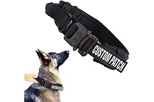 Personalized Tactical Dog Collar with Handle