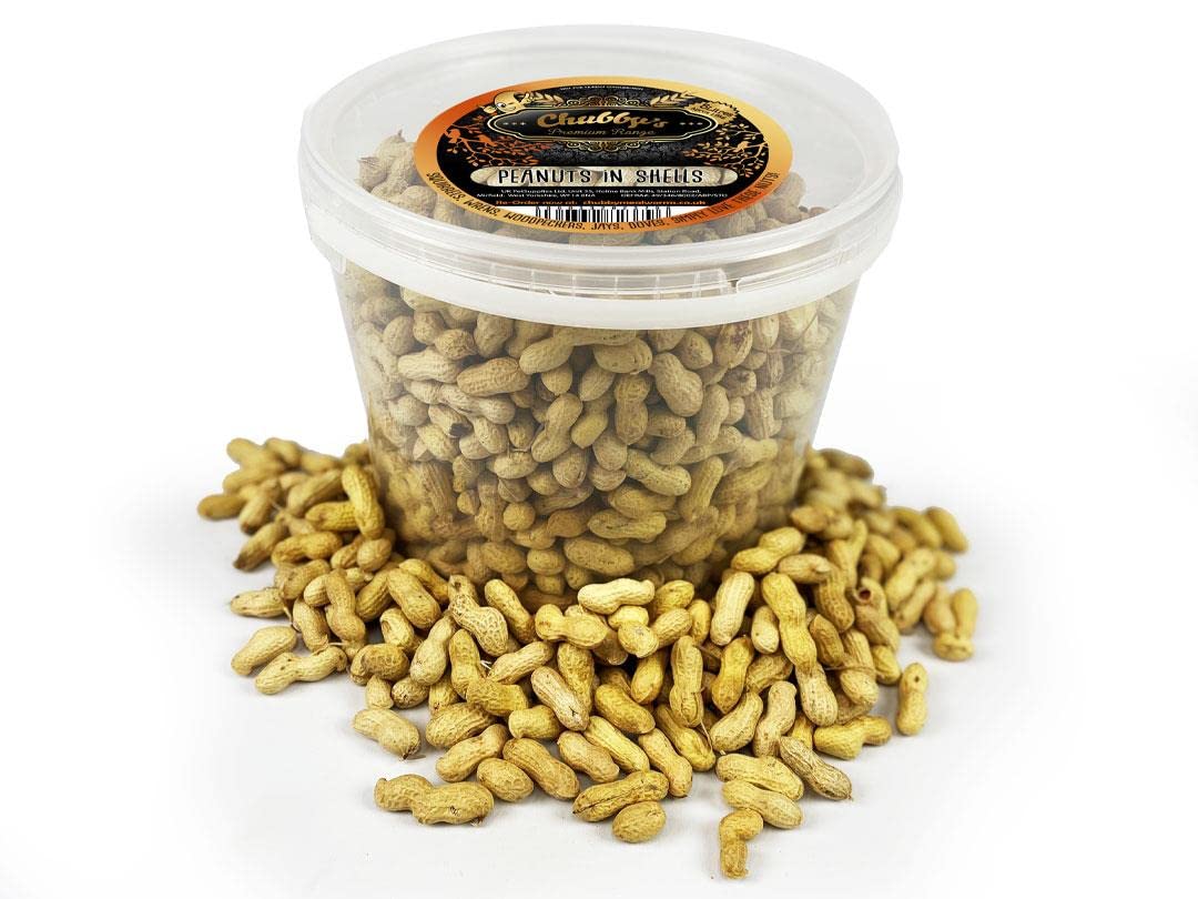 Chubby Peanuts in Shells (5 Litres), Monkey Nuts For Wild Life & Squirrels, All Natural Premium Peanut Food for Wild Life Food, Peanuts in Shells for Squirrels