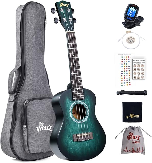 Winzz Ukulele Concert 23 Inches Blue-green, Ukulele Beginner Kit for Adults and Children, Unique Color Design
