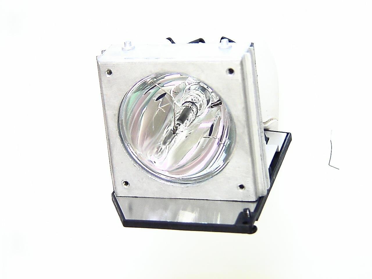 Acer EC.J0601.001 Projection Lamp