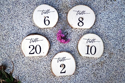 Rainbow Pana CXYC-041223 Wooden Table Numbers thumb #2