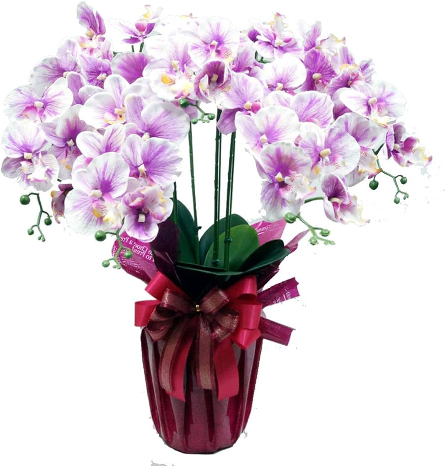 Amazon｜光触媒 胡蝶蘭 造花 5本立 (レッド/パープル) 御昇進 お誕生日