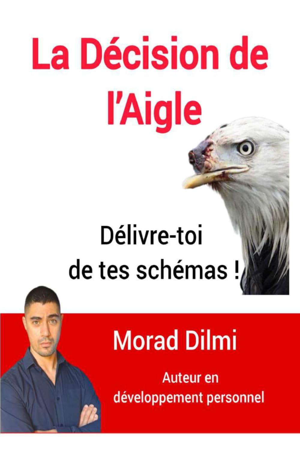 La Décision de l'Aigle: Délivre-toi de tes schémas !