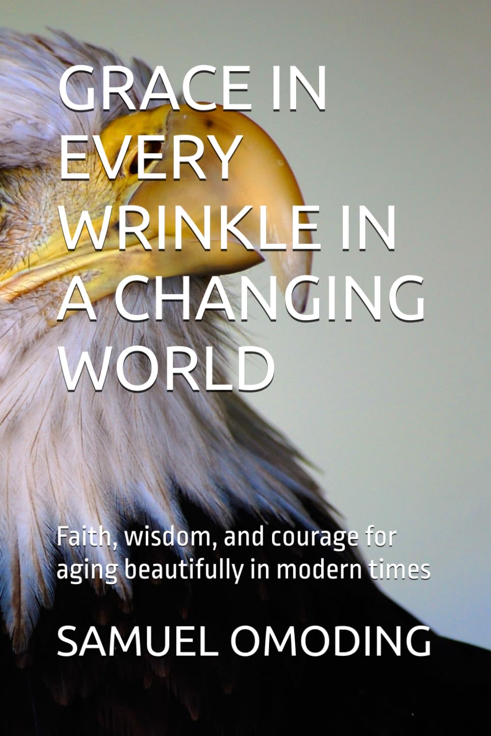 GRACE IN EVERY WRINKLE IN A CHANGING WORLD: Faith, wisdom, and courage for aging beautifully in modern times