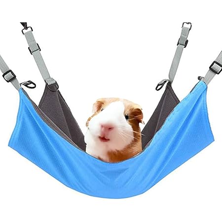 guinea pig hammock amazon