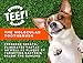 TEEF! Daily Dental Care – Natural Dog Dental Water Additive, 6 Month Supply – Award Winning Protektin42 Formula, Tartar and Plaque Remover – No Brushing, Add to Water Bowl for Healthier Gums